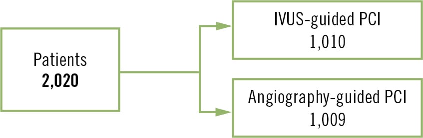 IVUS-CHIP