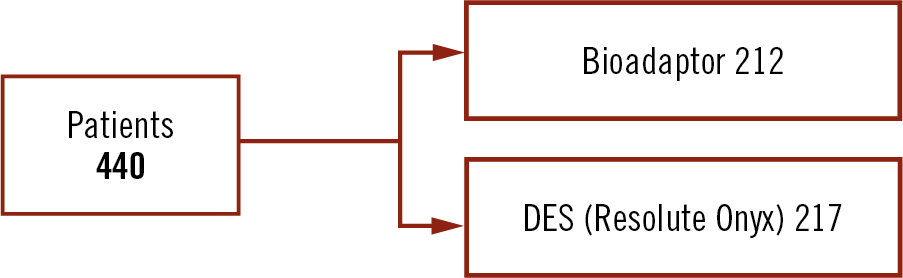 BIOADAPTOR-RCT 2 years