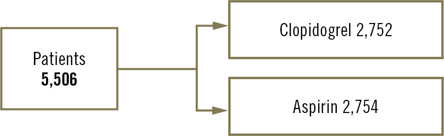 SMART-CHOICE 3