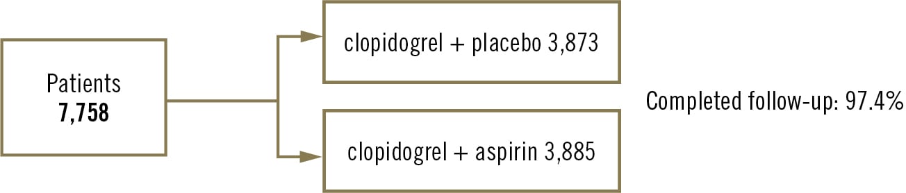 OPT-BIRISK