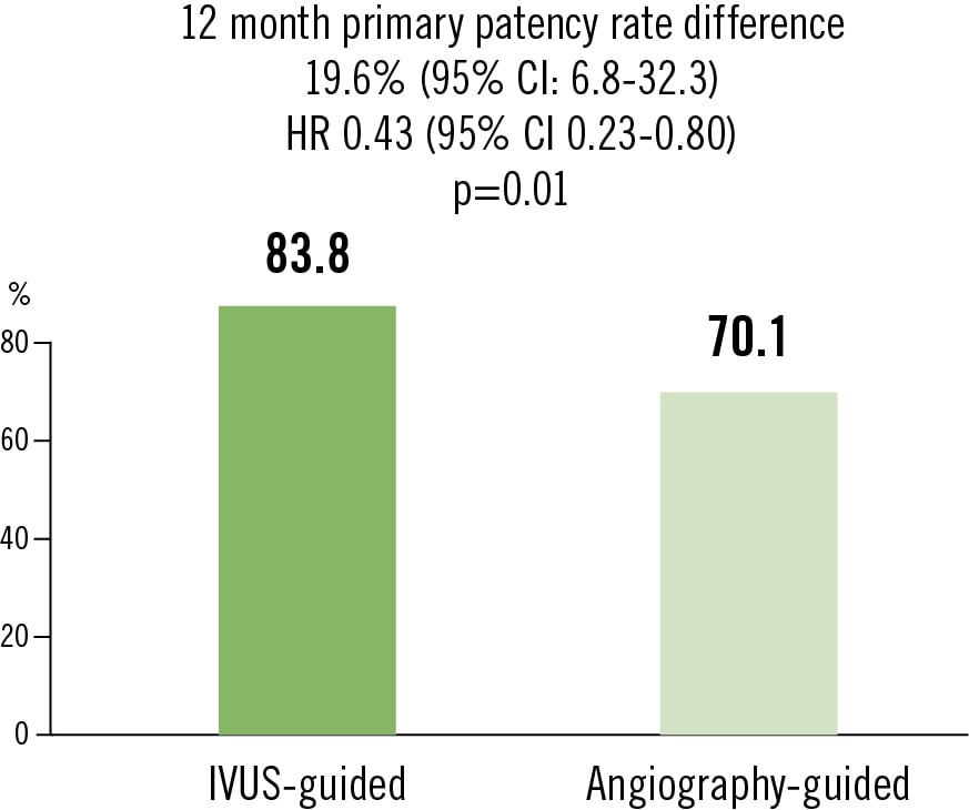 IVUS-DCB