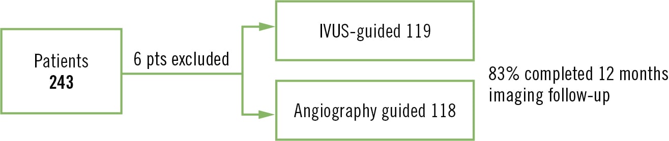 IVUS-DCB