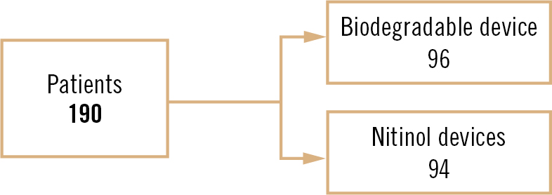 Biodegradable PFO closure 2 years